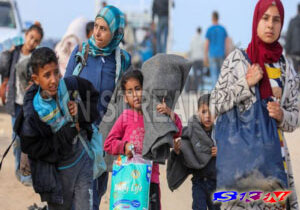 Warga Palestina Terpaksa Makan Daging Kura Kura Dampak Krisis Pangan, Begini Kejadiannya