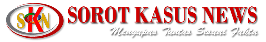 logo web skn