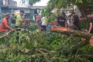 Pemuda Batak Bersatu Kab. Asahan Bersama Warga Bantu Bersihkan Pohon Tumbang Di Jalan