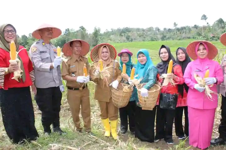 IMG-20250603-WA0002
