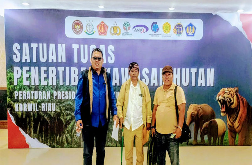 Lahan Sawit Seluas 500 Ha Di Kawasan TNTN Kini Telah Dikembalikan Pada Negara