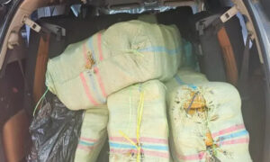 Ganja Seberat 200 Kg, Asal Gayo Aceh Tujuan Medan Berhasil Digagalkan BNN Provinsi Sumut