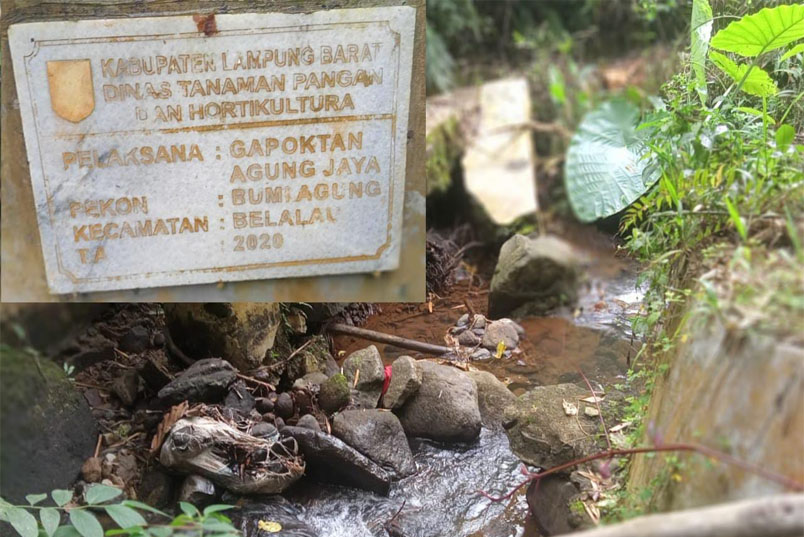 Irigasi Rusak Di Desa Bumi Agung Ancam Ketahanan Pangan, Petani Minta Tindakan Cepat Pemerintah