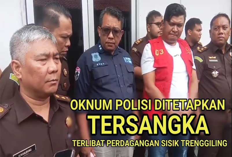 Oknum Polisi Ditetapkan Tersangka, Terlibat Perdagangan Sisik Trenggiling