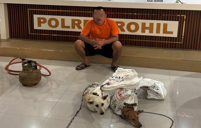 Polres Rokan Hilir Tangkap Pelaku Penganiayaan Hewan