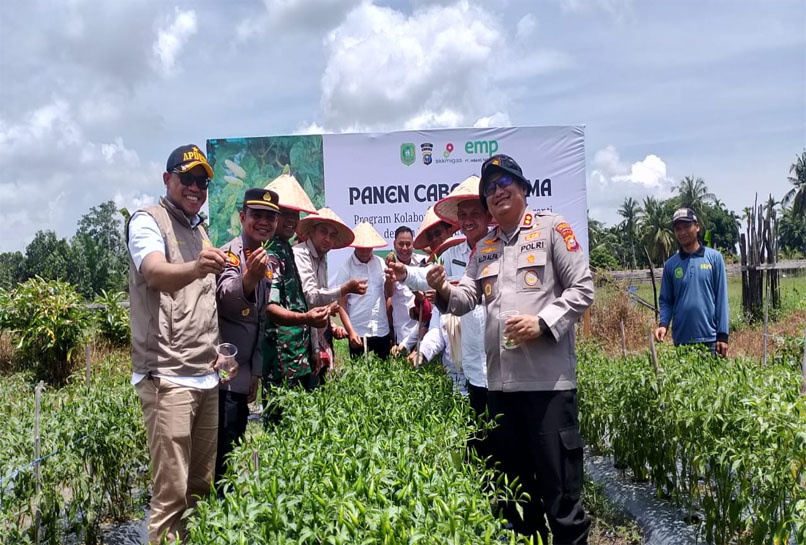 Tingkatkan Swasembada Pangan PT ITA Berkolaborasi Dengan Polres Meranti Lakukan Penanaman Jagung Serentak