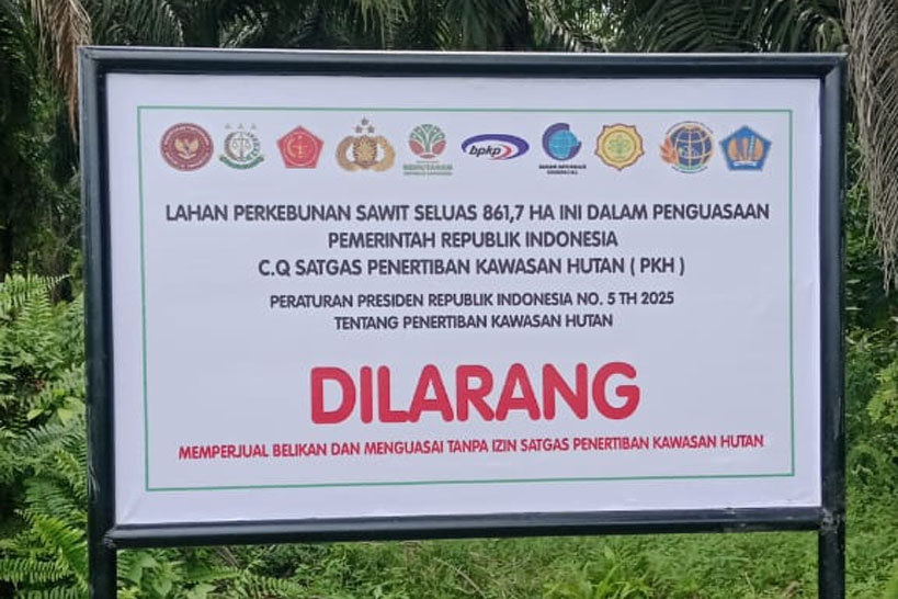 Masyarakat Kabupaten Pasang Kayu Sulawesi Barat Minta Satgas PKH Untuk Tertibkan Kembali Kawasan Hutan