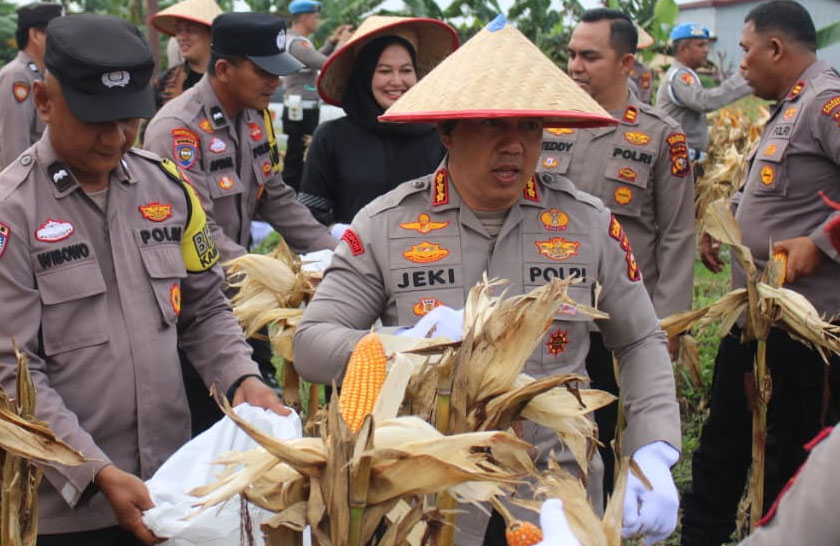 Polresta Pekanbaru Laksanakan Panen Raya Jagung Pipil Kuartal IV Tahun 2025