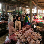 Dampak MBG, Harga Kebutuhan Pokok Disejumlah Pasar Tradisional Di Pekanbaru Melonjak