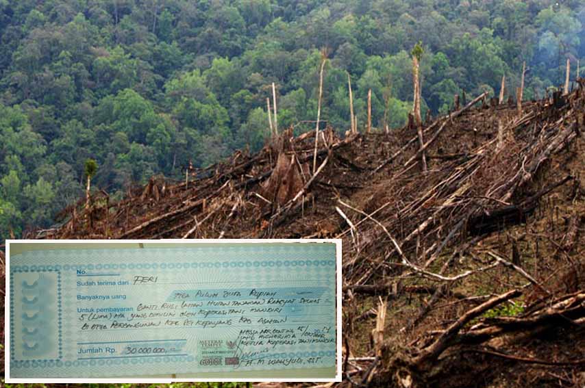 Ditemukan Bukti Kwitansi Ganti Rugi, Kawasan Hutan Diduga Berubah Fungsi Jadi Tanaman Sawit