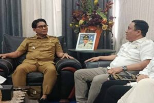 Ferdy Yupa : Walikota Binjai Harus Pahami Ekonomi Kerakyatan, Kontrol Dan Pengawasan Sangat di Perlukan