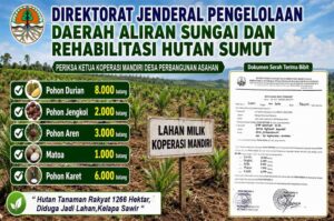 Ribuan Batang Bibit Pohon Hutan Tanaman Rakyat Raib, Ditjen PDASHL Sumut Diminta Audit Ketua Koperasi Mandiri Asahan