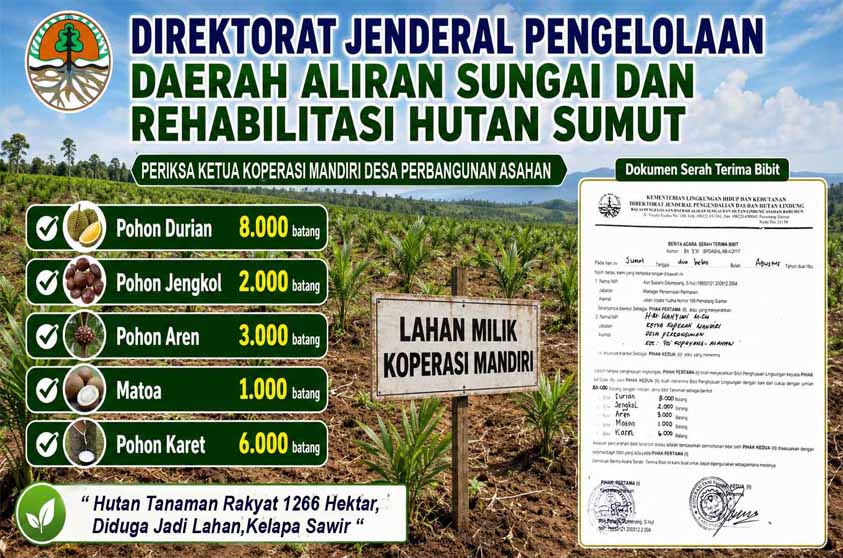 Ribuan Batang Bibit Pohon Hutan Tanaman Rakyat Raib, Ditjen PDASHL Sumut Diminta Audit Ketua Koperasi Mandiri Asahan