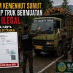 Diduga Membawa Kayu Ilegal, Tim Gakkum Sumut Hanya Tahan Sopir Truk, Sang Pemilik Kayu Bebas
