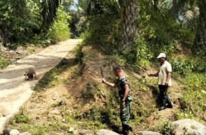 Jembatan Sampuran Paluta Dibangun, Akses Warga Diharapkan Semakin Lancar