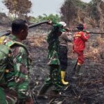 Kodam XIX/Tuanku Tambusai Intensifkan Pemadaman dan Pendinginan Karhutla di Tujuh Lokasi