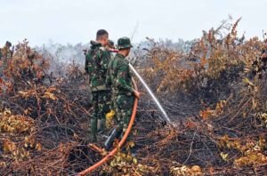Kodam XIX/Tuanku Tambusai Perkuat Penanganan Karhutla di Seberida, Pendinginan Terus Berlanjut